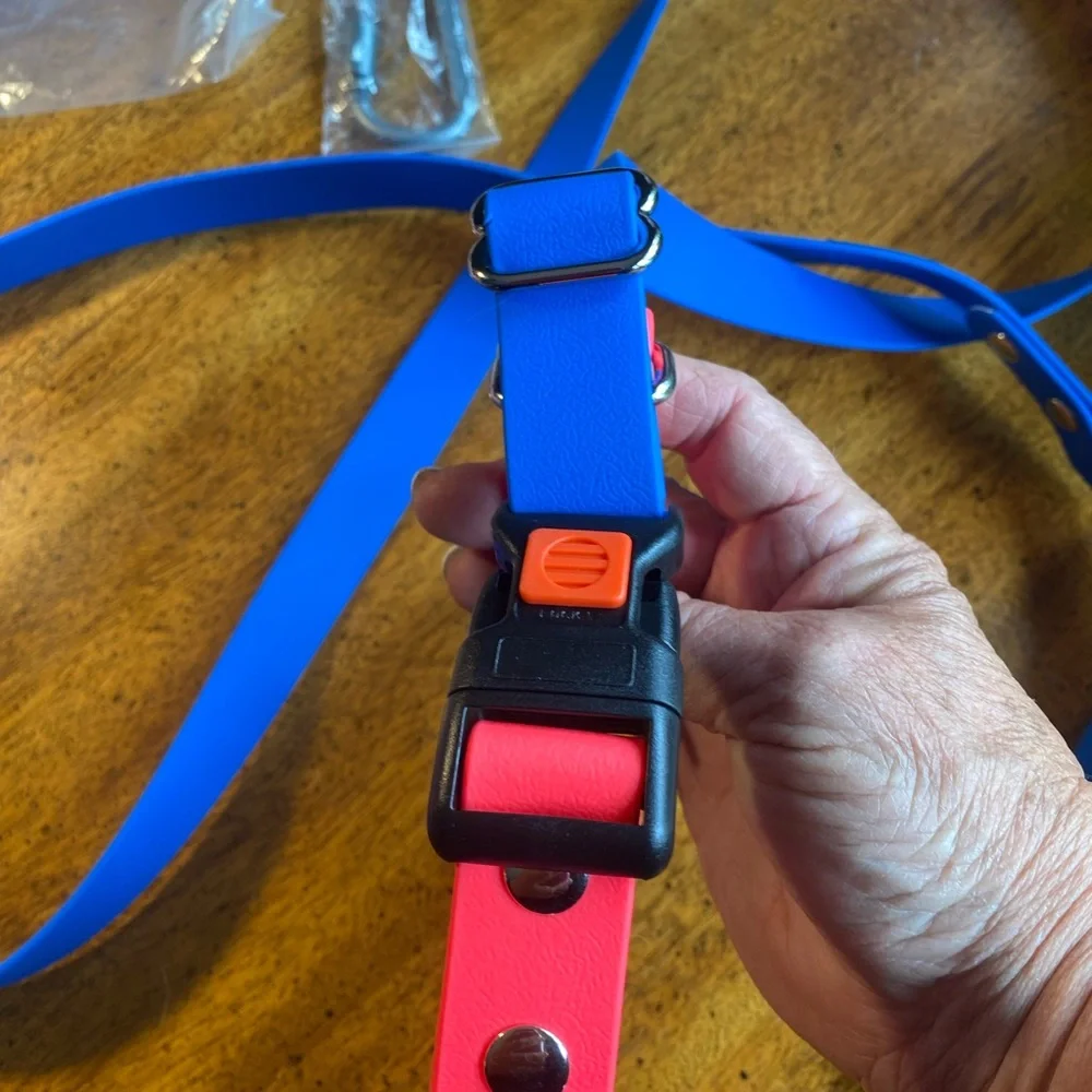 Prong Training Collar with attached leash